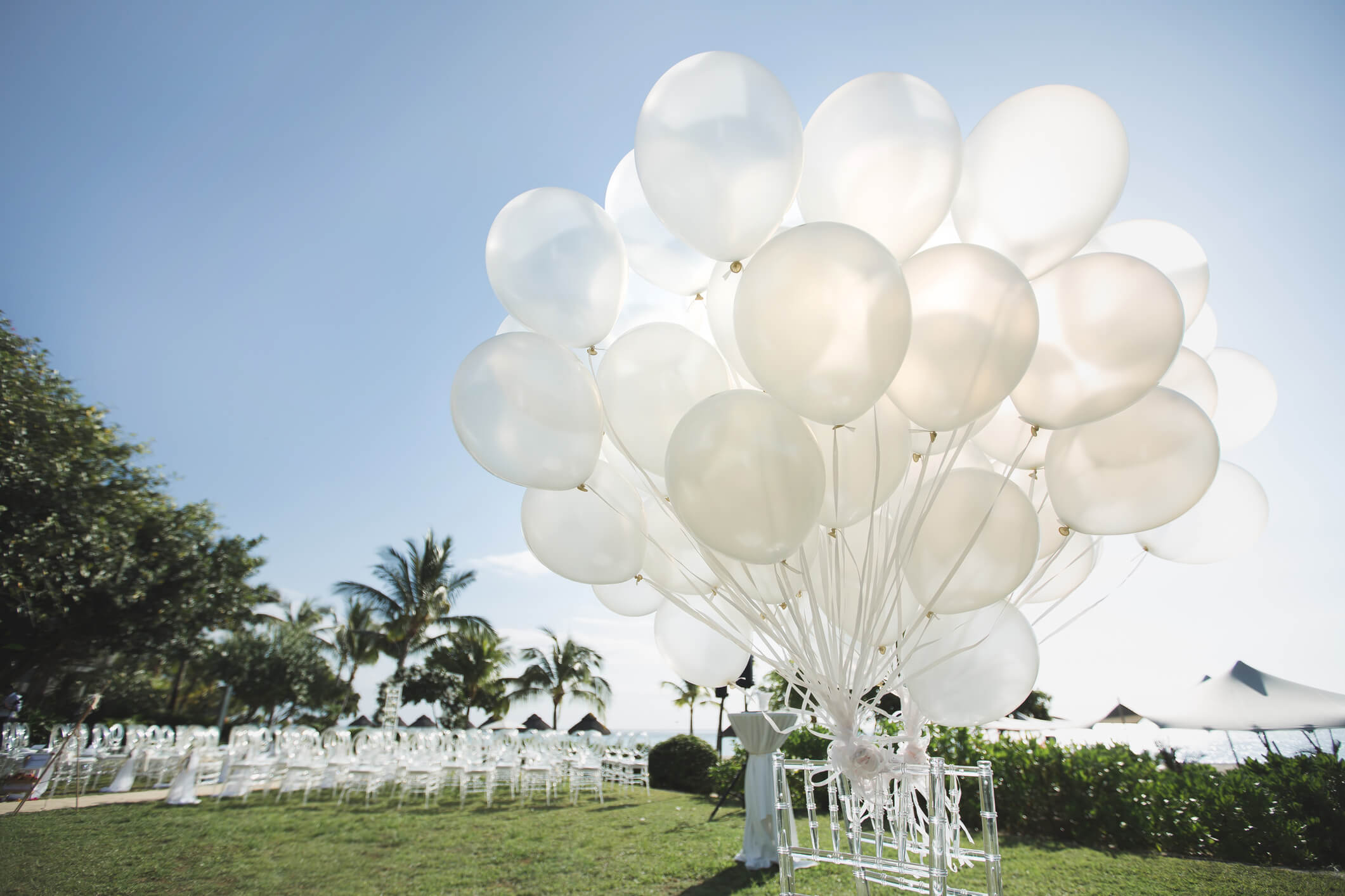 Morning Wedding Venues: Best Places for an Early Celebration